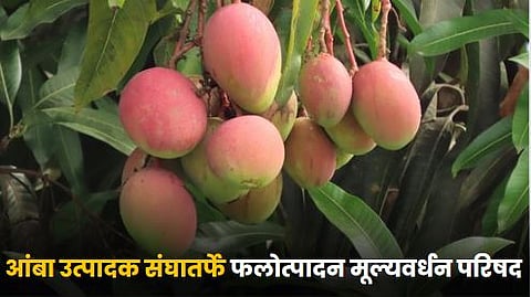 Horticulture Conference