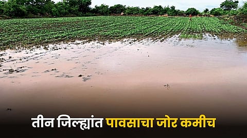 Monsoon Update