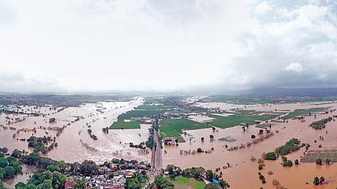 Water Level Panchganga