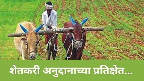 Agriculture Subsidy Scheme