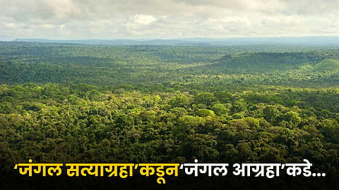 Forest Conservation