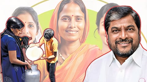 Milk Price Issue