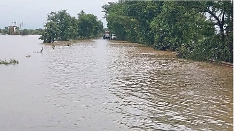 Rain Update