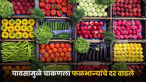 Fruit and Vegetable Rate