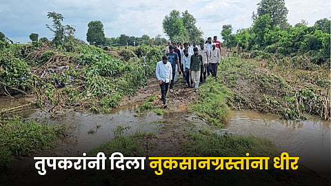 Crop Damage