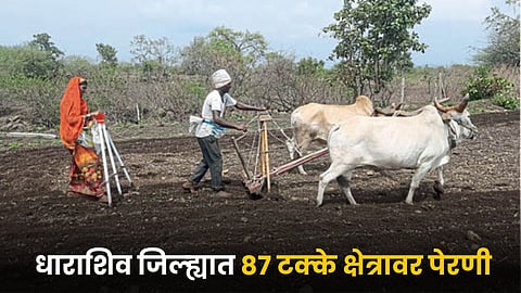 Agriculture Sowing