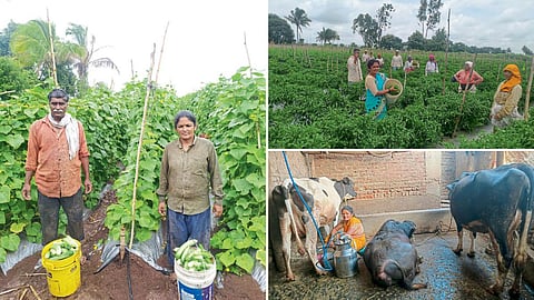 Minakshi Ajit Nendurge and Farm