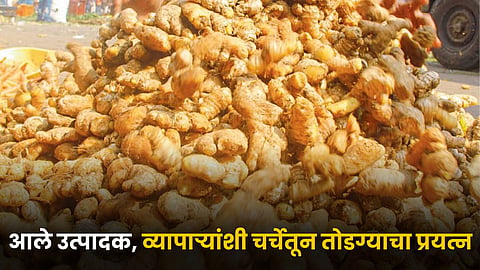 Ginger Market