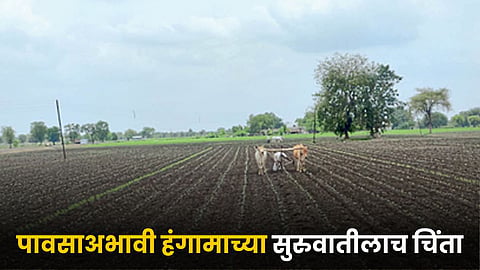 Kharif Season