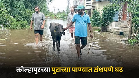 Flood Update