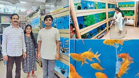 Fish Conservation and Panzade Family