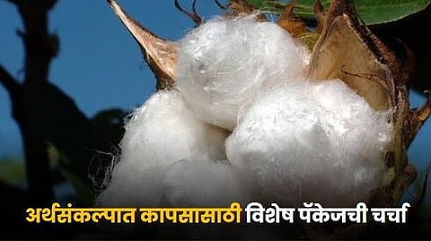 Cotton