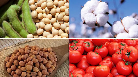Agriculture Market