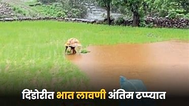 Paddy Farming