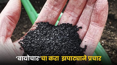 Biochar