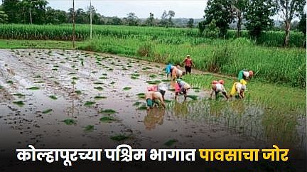 Maharashtra Rain