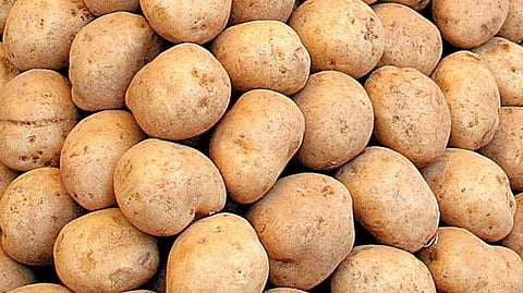 Potato Market