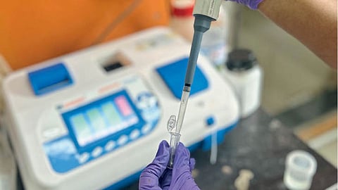 Disease Diagnosis 
