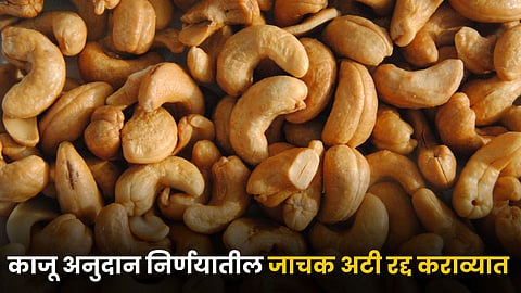 Cashew Subsidy