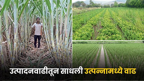 Agriculture 