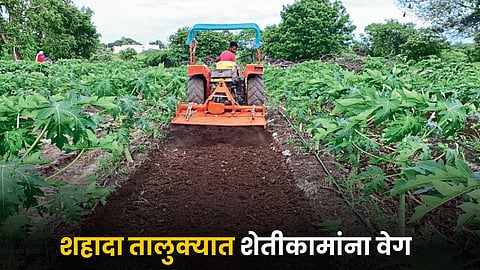 Agriculture Work
