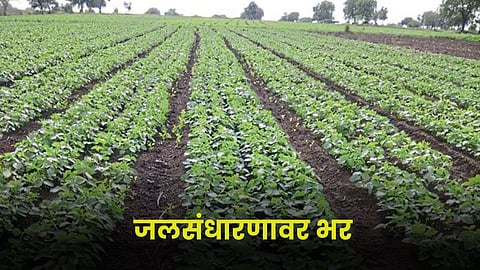 Agriculture