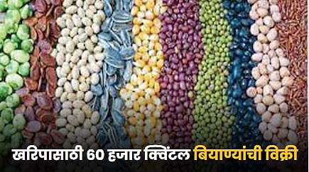 Agriculture Seeds