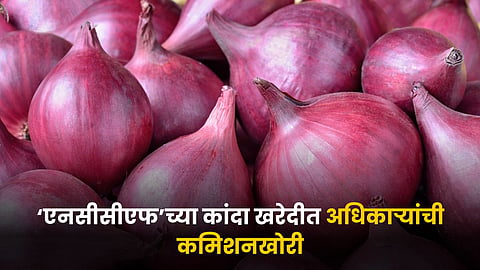 Onion Procurement