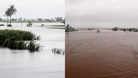 Kolhapur Flood Agriculture Damage
