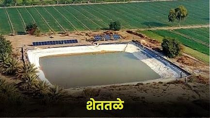 Farm Pond