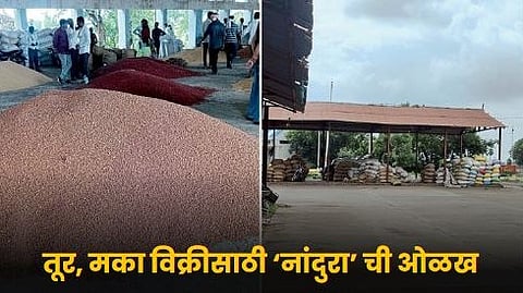 APMC Nandura 