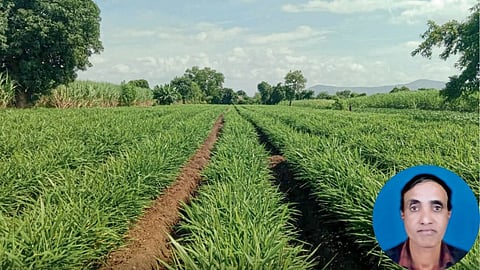 Agriculture