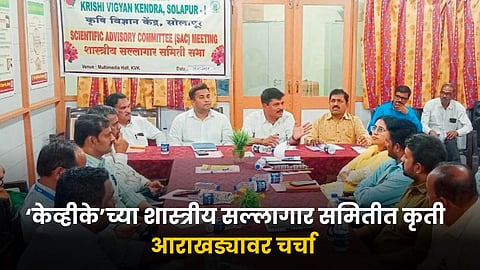 Action Plan