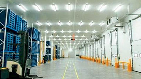 Cold Storage 