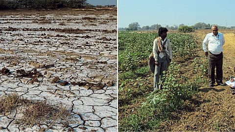 Watershed Management