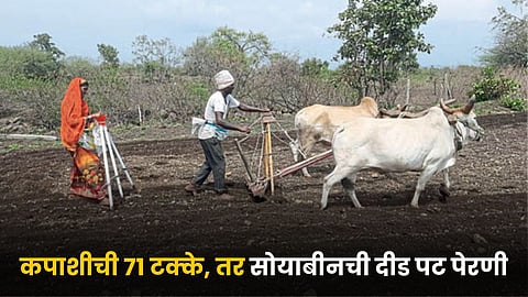 Kharif Sowing