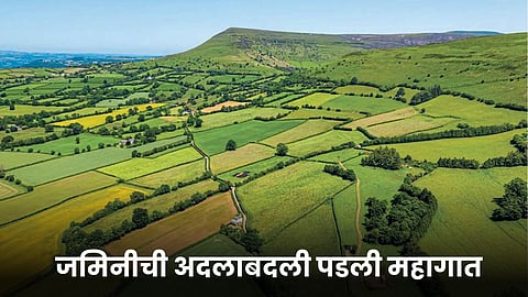 Agriculture Land 