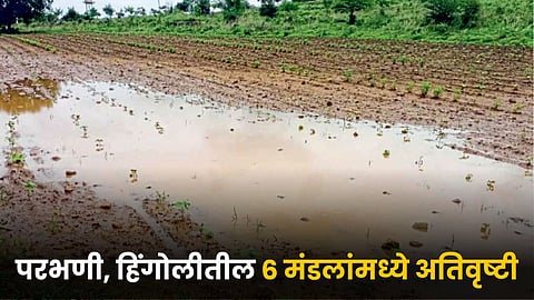 Maharashtra Rain