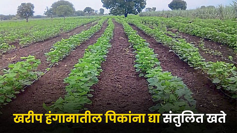 Agriculture