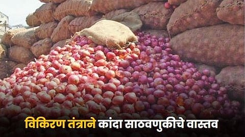 Onion Storage