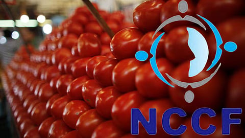 NCCF Sell Tomatoes