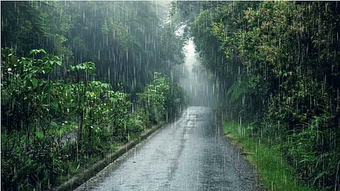 Monsoon Rain
