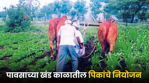 Crop Management 