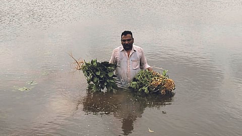 Kolhapur Flood 