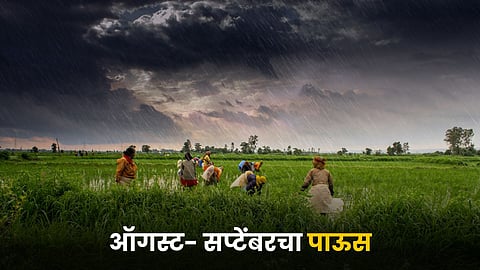 Monsoon Rain
