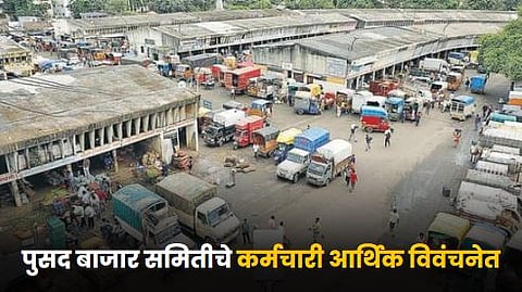 Pusad APMC