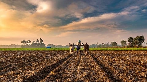 Farmer