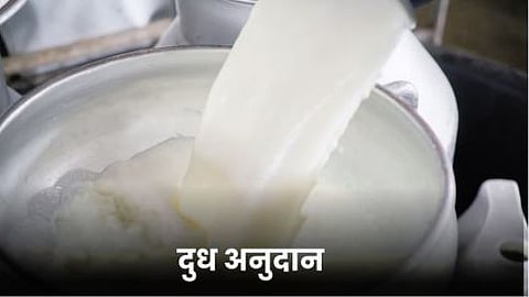 Milk Subsidy