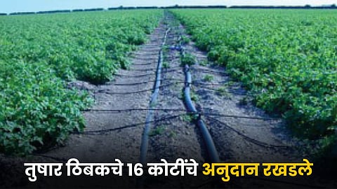 Irrigation Subsidy