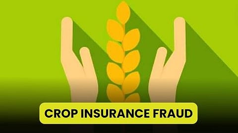 Crop Insurance Fraud